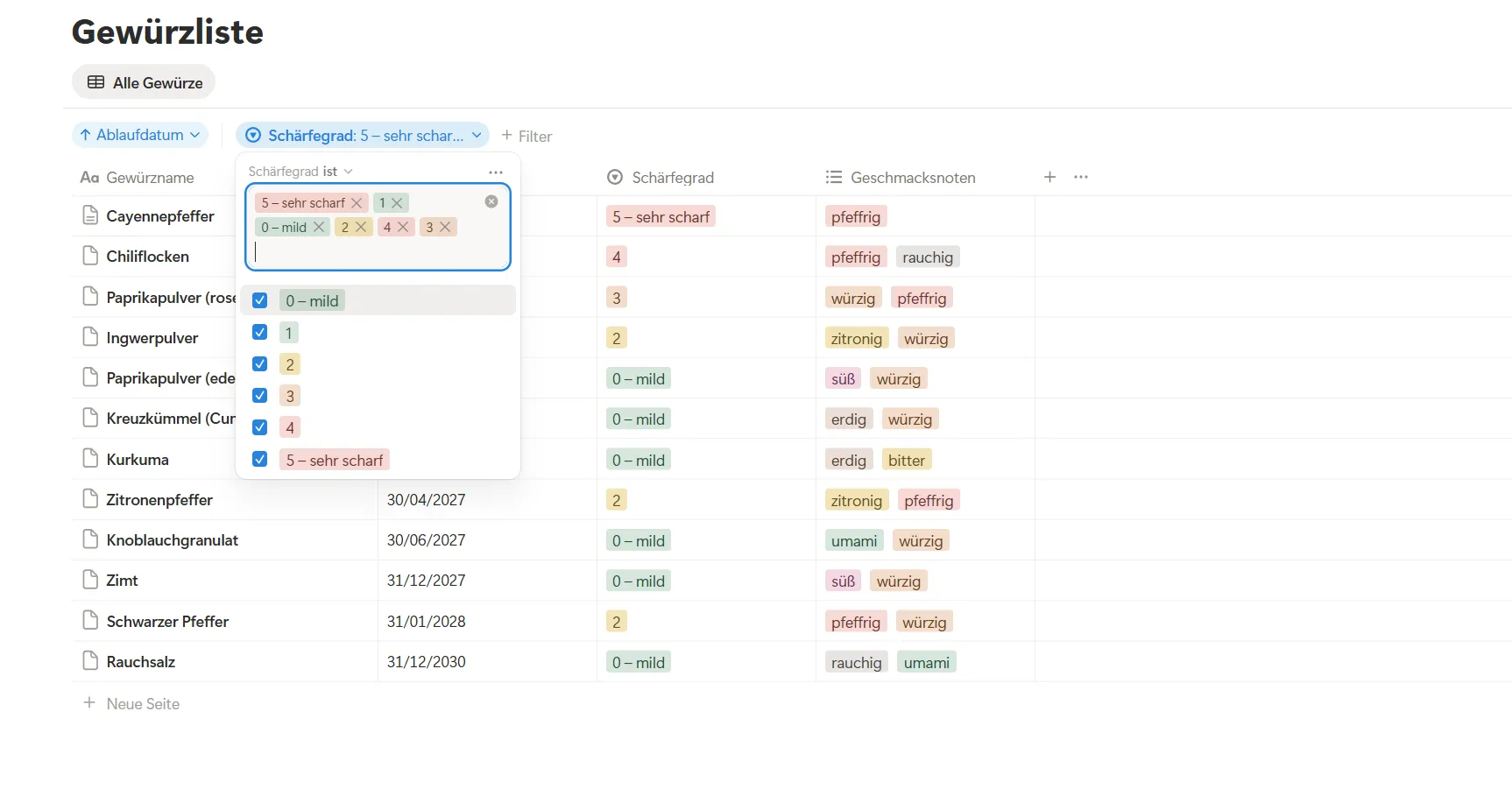 Notion Filter in Datenbanken